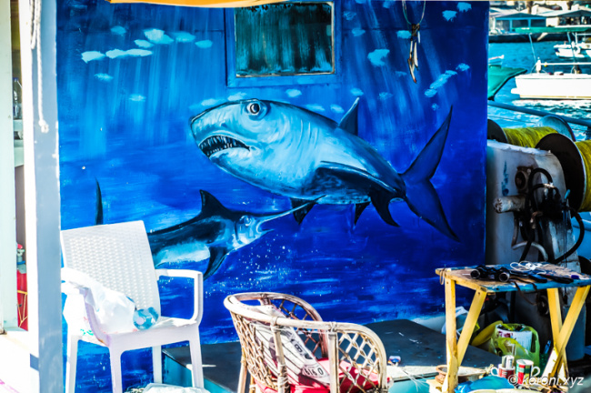 Shark Painting on Fisherboat - Mediterranean Spirit